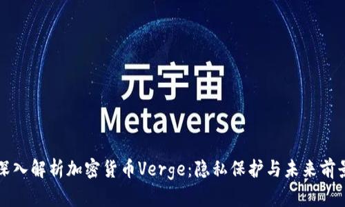 深入解析加密货币Verge：隐私保护与未来前景