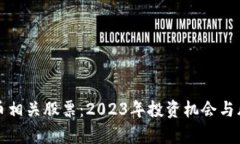 加密货币相关股票：2023年投资机会与风险分析