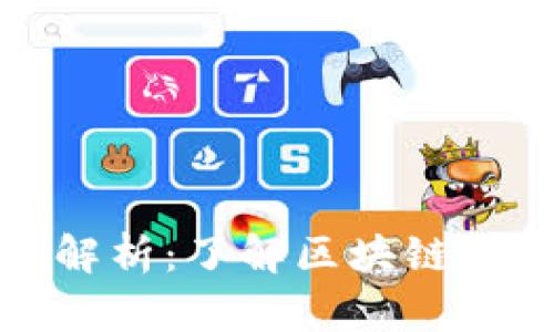 加密货币派系解析：了解区块链世界的不同阵营