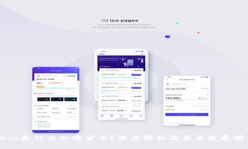 CBoc是什么加密货币？深度解析及未来发展前景
