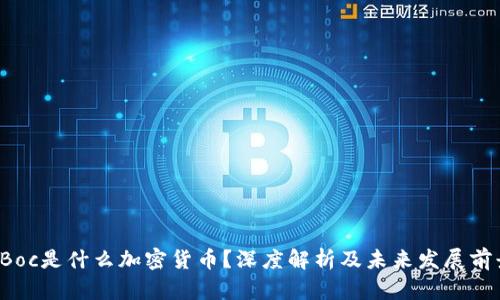 CBoc是什么加密货币？深度解析及未来发展前景