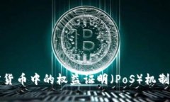 深入探讨加密货币中的权