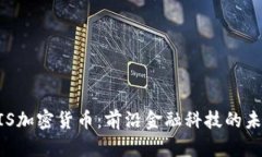 了解BIS加密货币：前沿金