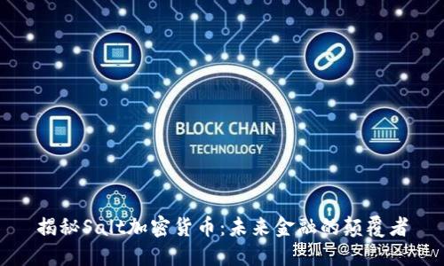 揭秘Salt加密货币：未来金融的颠覆者