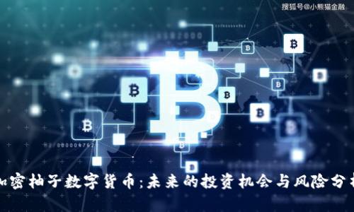 加密柚子数字货币：未来的投资机会与风险分析