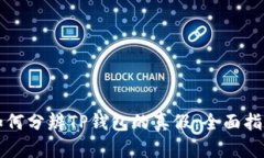 如何分辨TP钱包的真假：全
