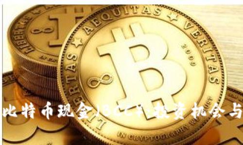 全面了解比特币现金（BCC）：投资机会与风险分析