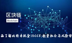 全面了解比特币现金（B