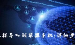 原来TP钱包怎样导入到苹果