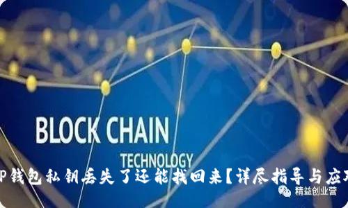 设置

优质TP钱包私钥丢失了还能找回来？详尽指导与应对策略
