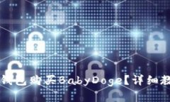 怎样在TP钱包购买BabyDoge？
