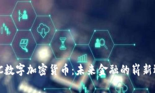 WXC数字加密货币：未来金融的崭新选择