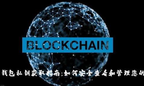 电脑版TP钱包私钥获取指南：如何安全查看和管理您的数字资产
