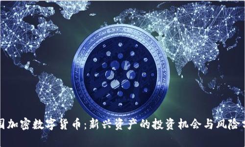 雅园加密数字货币：新兴资产的投资机会与风险分析