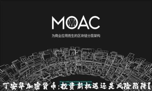 
丁安华加密货币：投资新机遇还是风险陷阱？