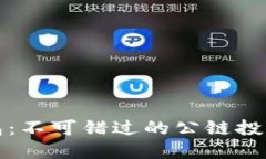 TP钱包：不可错过的公链投
