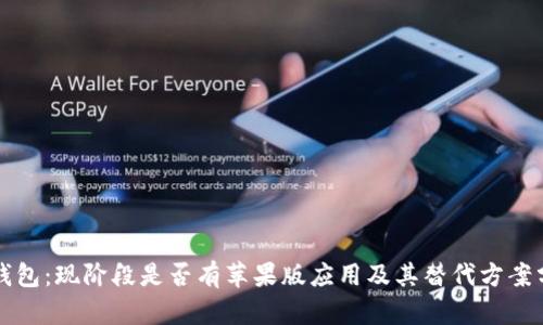 TP钱包：现阶段是否有苹果版应用及其替代方案分析