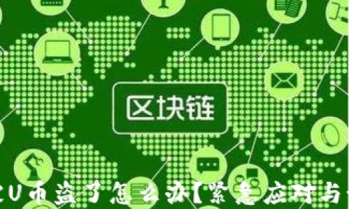 
tp钱包被U币盗了怎么办？紧急应对与预防技巧