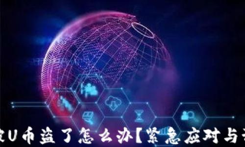
tp钱包被U币盗了怎么办？紧急应对与预防技巧