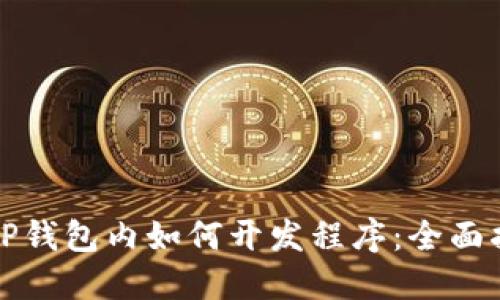 在TP钱包内如何开发程序：全面指南