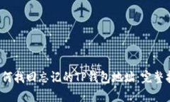  如何找回忘记的TP钱包地
