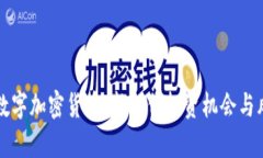 大通宝数字加密货币：新一代投资机会与风险分