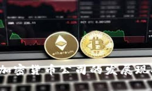 2023年国内加密货币公司的发展现状与前景分析