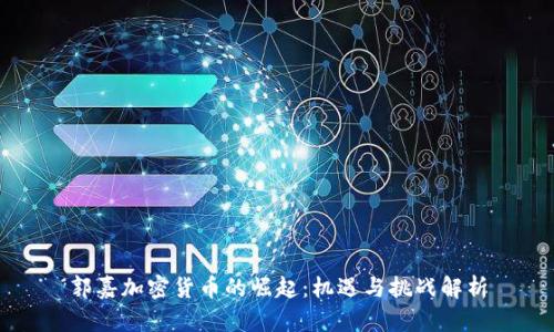 郭嘉加密货币的崛起：机遇与挑战解析