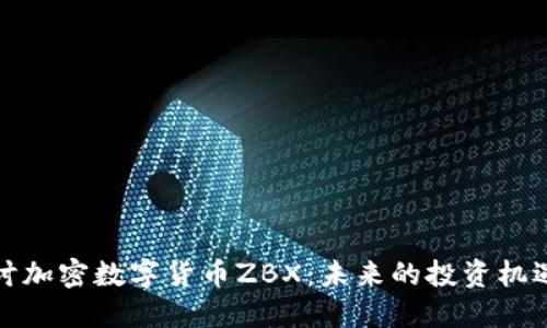 深入探讨加密数字货币ZBX：未来的投资机遇与风险