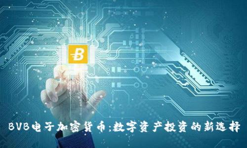 BVB电子加密货币：数字资产投资的新选择