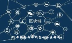 TP母钱包与子钱包的关系解析