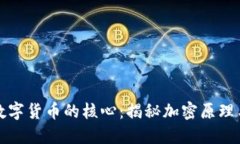 加密数字货币的核心：揭秘加密原理与应用