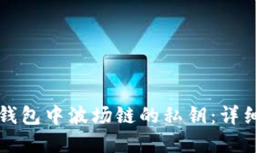 如何找回TP钱包中波场链的私钥：详细步骤和指南