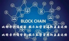 比特币行情分析：揭示加