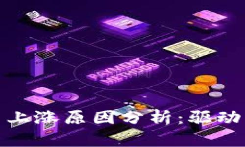 今日加密货币上涨原因分析：驱动力与市场趋势
