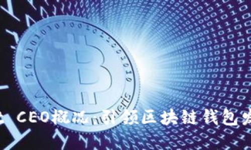 TP Wallet CEO概况：引领区块链钱包发展的先锋